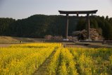 013-torii.jpg.small.jpeg